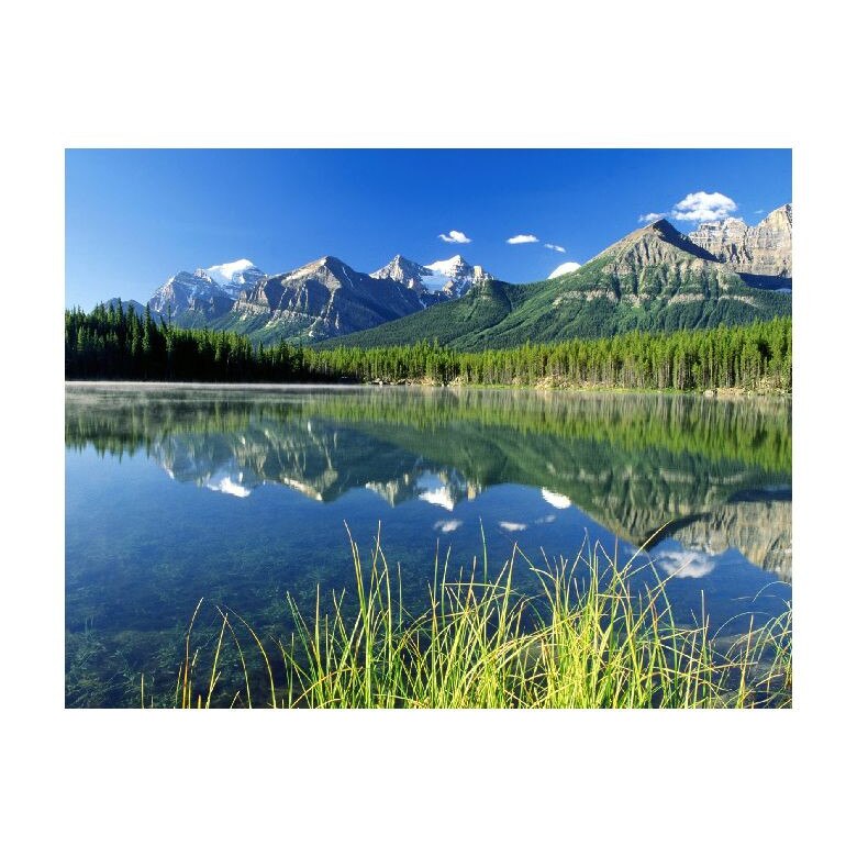 Tablou Canvas Natura, Dimensiunea 100x70 nat1071