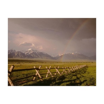 Tablou Canvas Natura, Dimensiunea 100x70 nat1175 Tablou Canvas Natura, Dimensiunea 100x70 nat1175