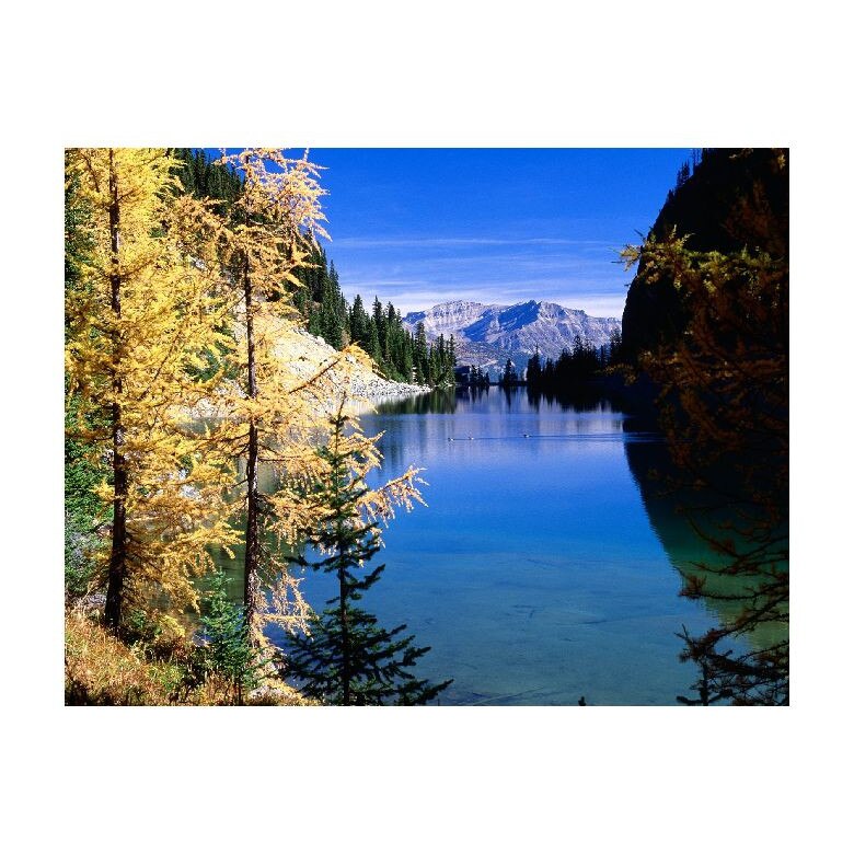 Tablou Canvas Natura, Dimensiunea 100x70 nat1131