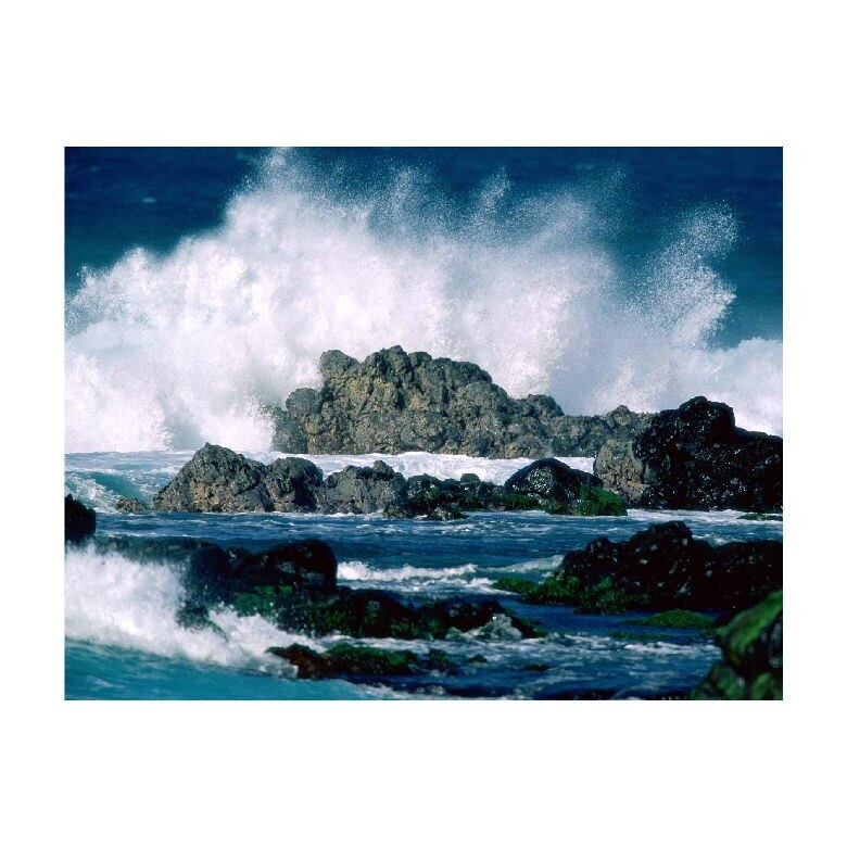 Tablou Canvas Natura, Dimensiunea 100x70 nat1100