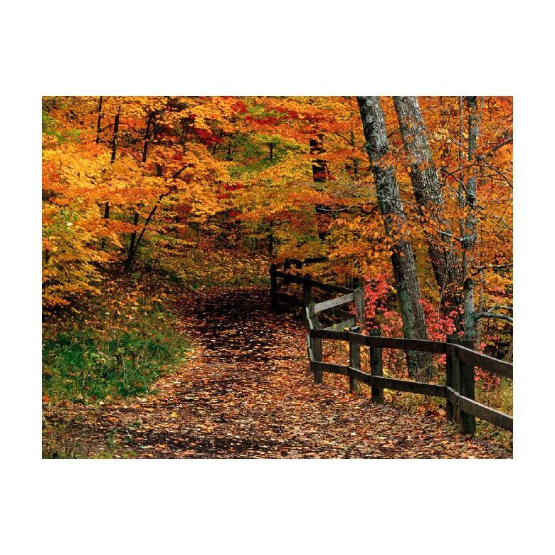 Tablou Canvas Natura, Dimensiunea 100x70 nat1201