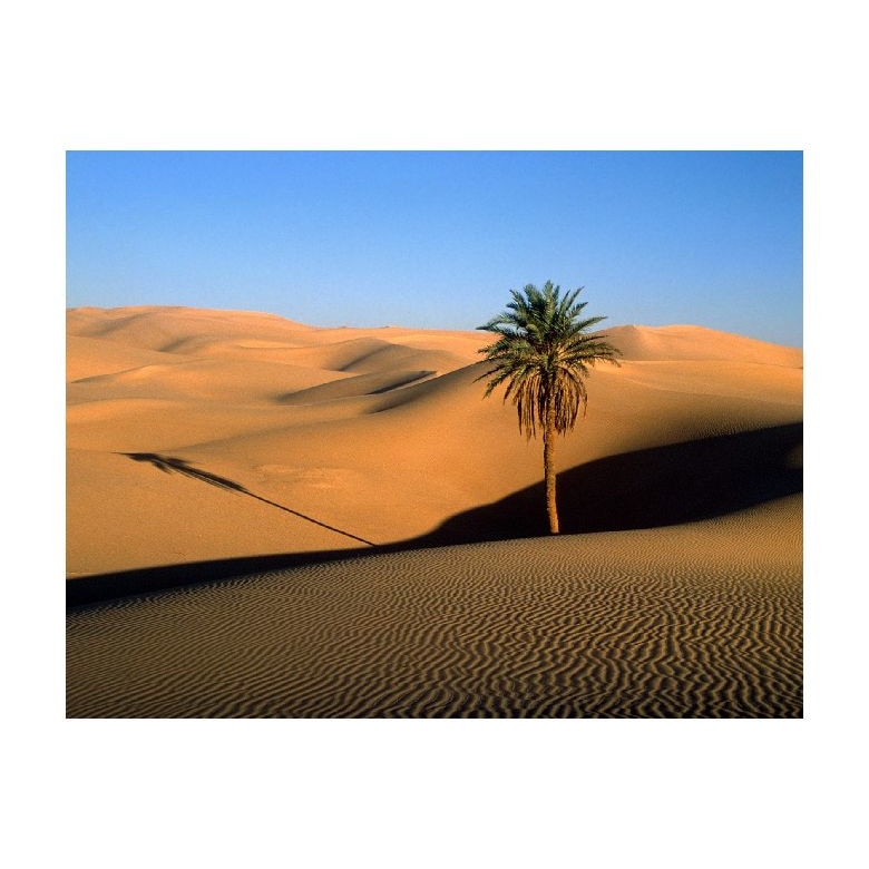 Tablou Canvas Natura, Dimensiunea 100x70 nat1171