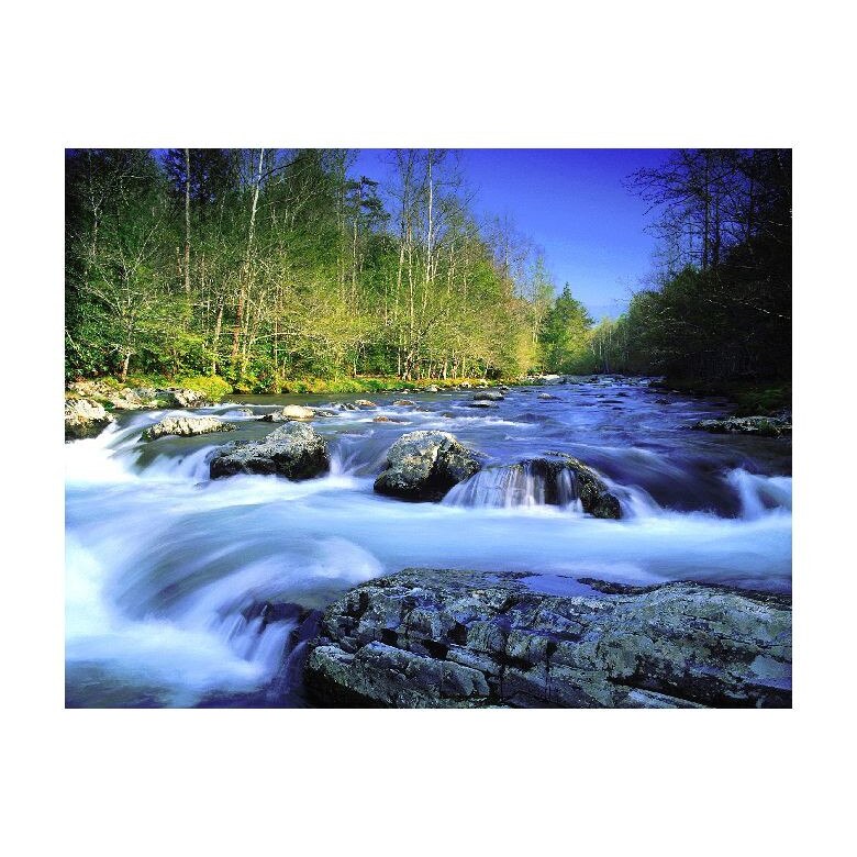 Tablou Canvas Natura, Dimensiunea 100x70 nat1167