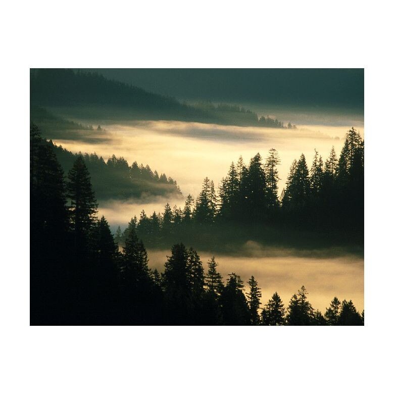 Tablou Canvas Natura, Dimensiunea 100x70 nat1103
