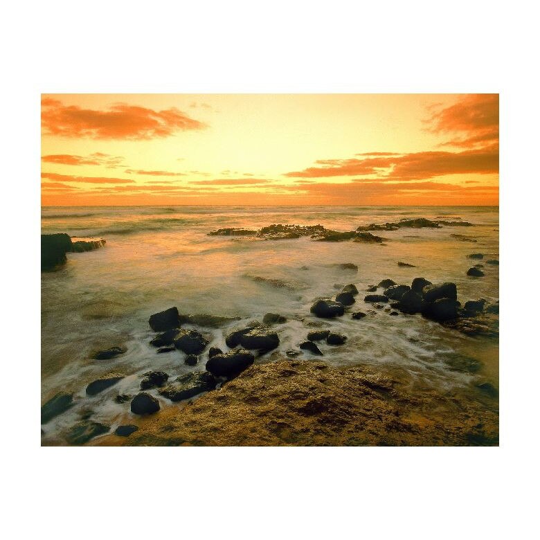 Tablou Canvas Natura, Dimensiunea 100x70 nat1067