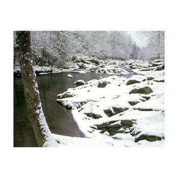 Tablou Canvas Natura, Dimensiunea 100x70 nat1166 Tablou Canvas Natura, Dimensiunea 100x70 nat1166