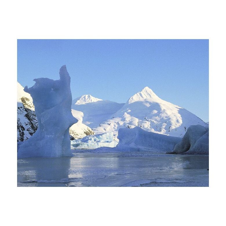 Tablou Canvas Natura, Dimensiunea 100x70 nat1093