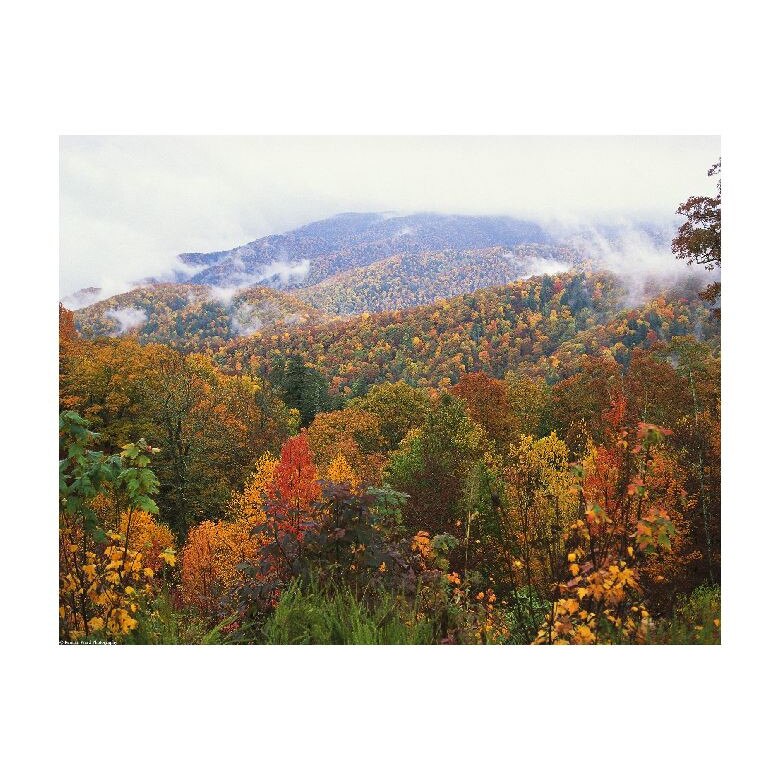 Tablou Canvas Natura, Dimensiunea 100x70 nat1182