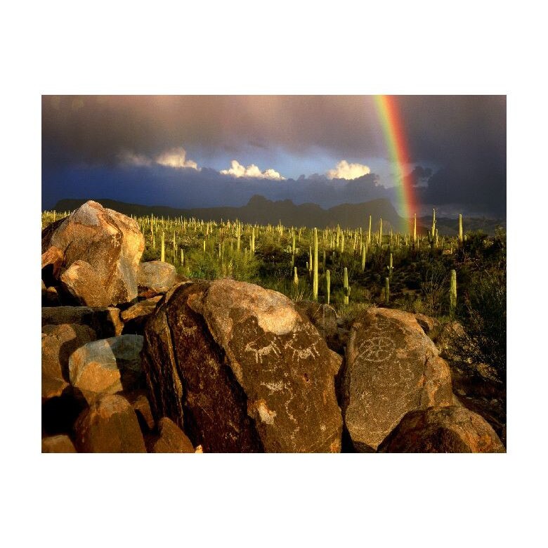 Tablou Canvas Natura, Dimensiunea 100x70 nat1077