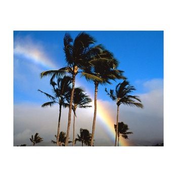 Tablou Canvas Natura, Dimensiunea 100x70 nat1066 Tablou Canvas Natura, Dimensiunea 100x70 nat1066