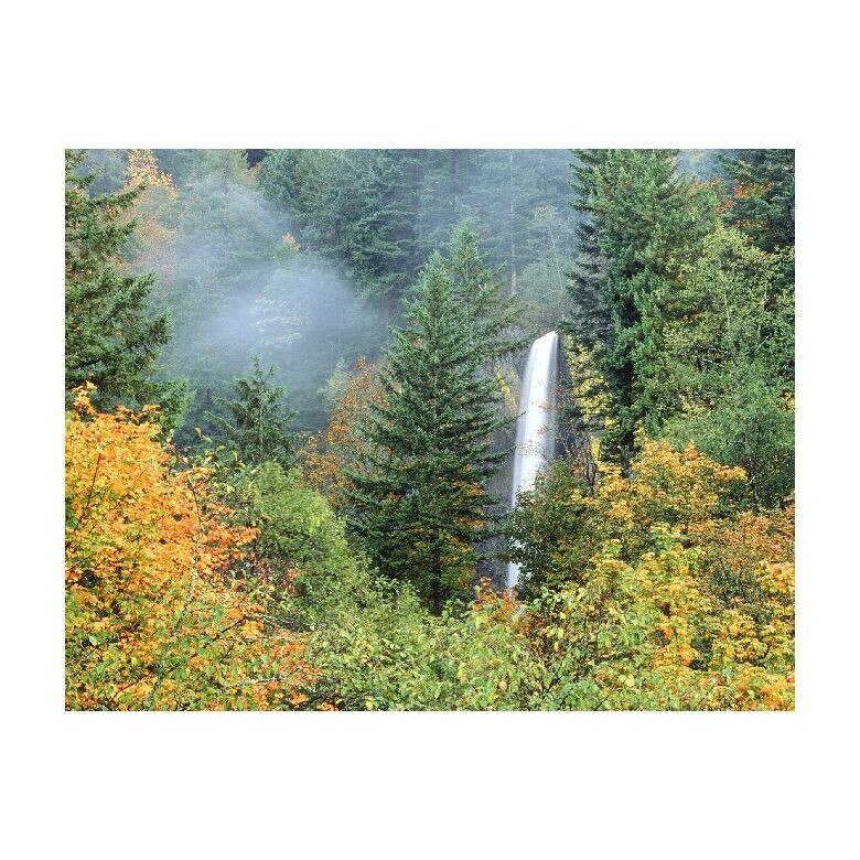 Tablou Canvas Natura, Dimensiunea 100x70 nat1149