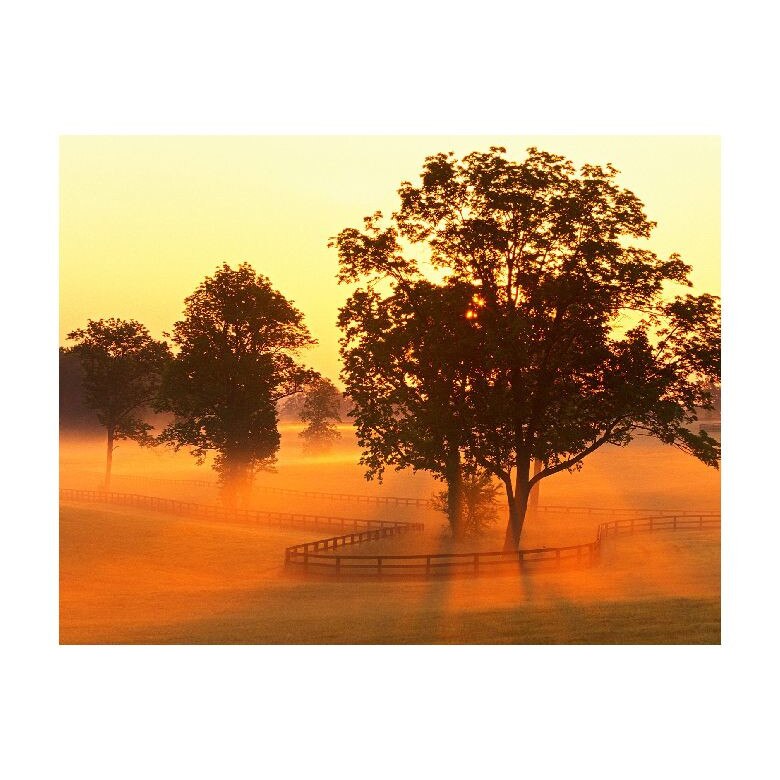 Tablou Canvas Natura, Dimensiunea 100x70 nat1082