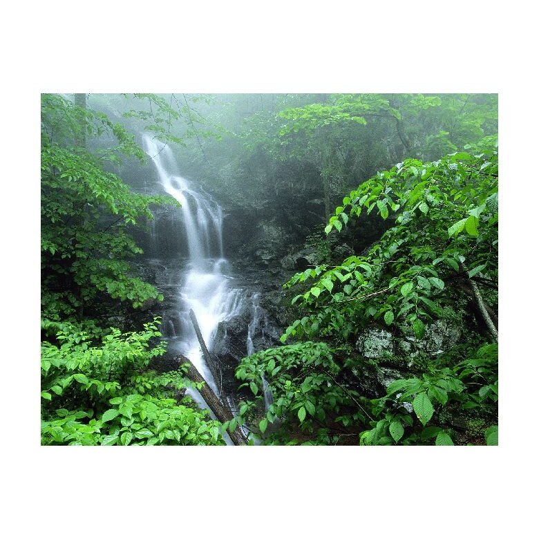 Tablou Canvas Natura, Dimensiunea 100x70 nat1177