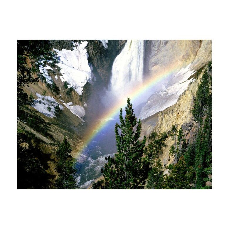 Tablou Canvas Natura, Dimensiunea 100x70 nat1178