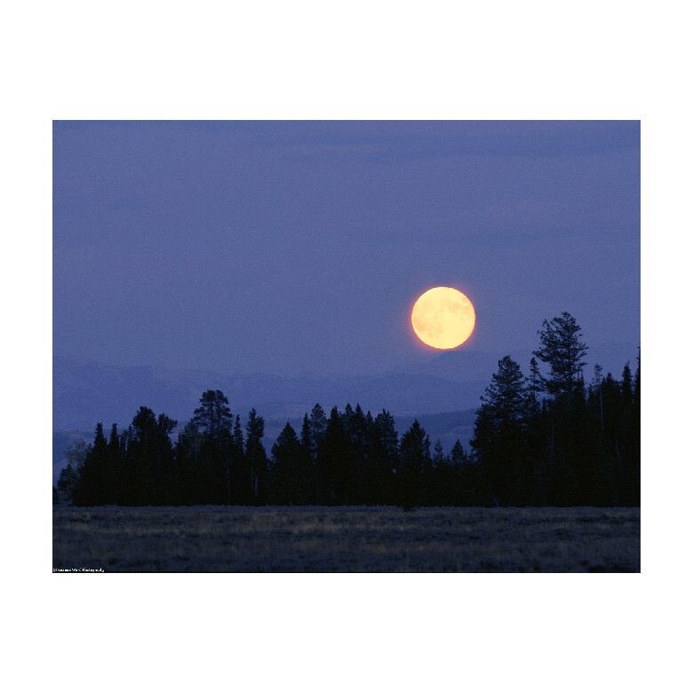 Tablou Canvas Natura, Dimensiunea 100x70 nat1062