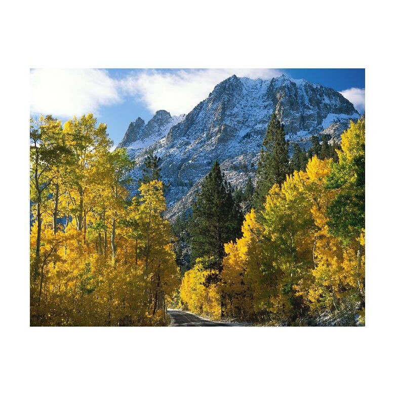 Tablou Canvas Natura, Dimensiunea 100x70 nat1117