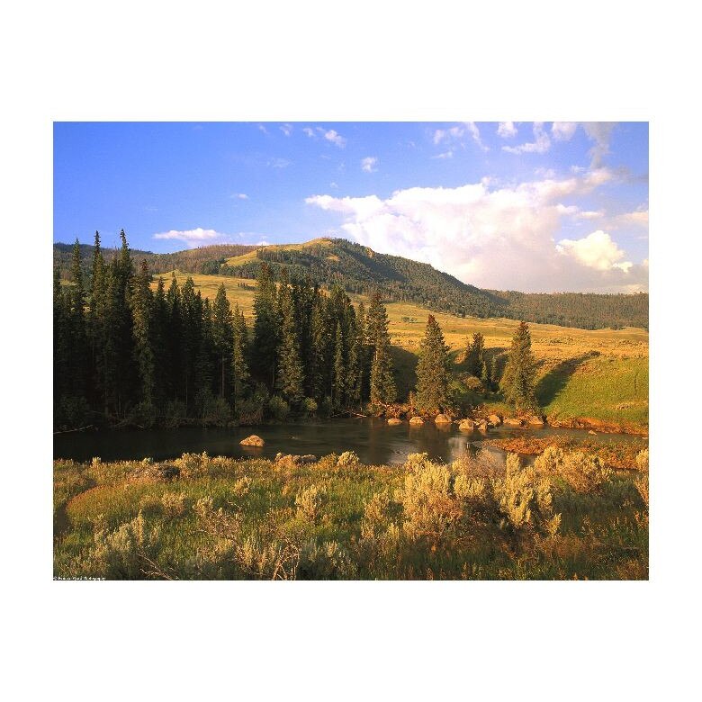 Tablou Canvas Natura, Dimensiunea 60x40 nat1142