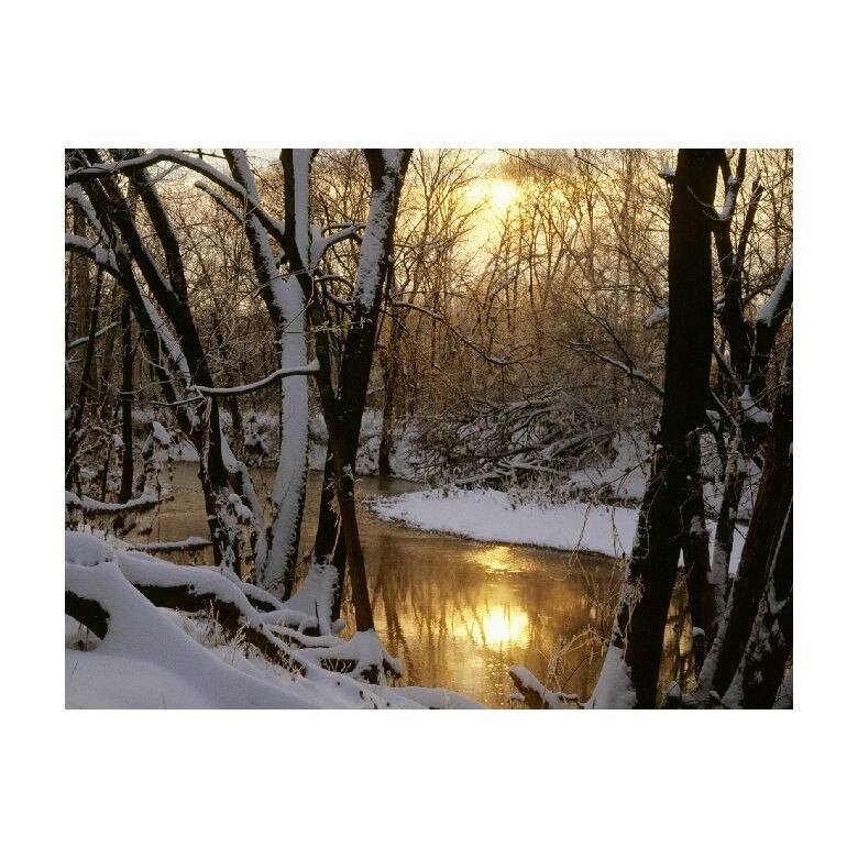 Tablou Canvas Natura, Dimensiunea 100x70 nat1059