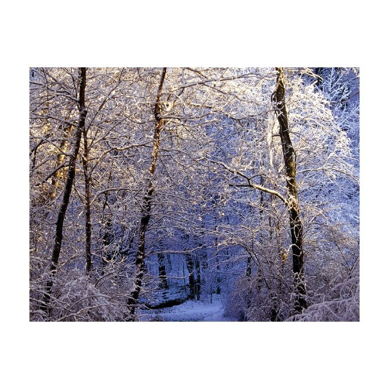 Tablou Canvas Natura, Dimensiunea 100x70 nat1255