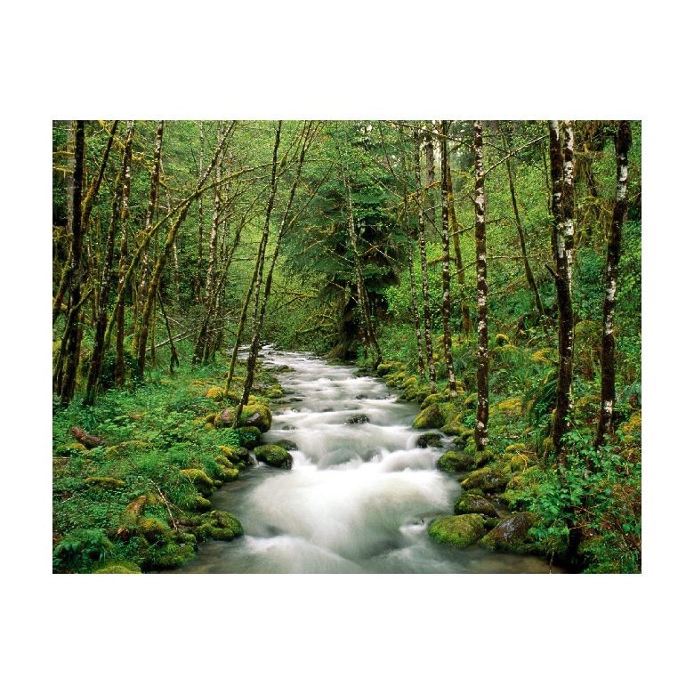 Tablou Canvas Natura, Dimensiunea 100x70 nat1203