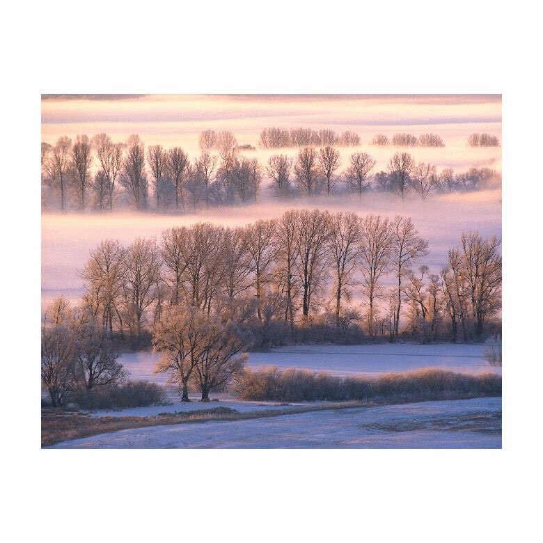 Tablou Canvas Natura, Dimensiunea 100x70 nat1219