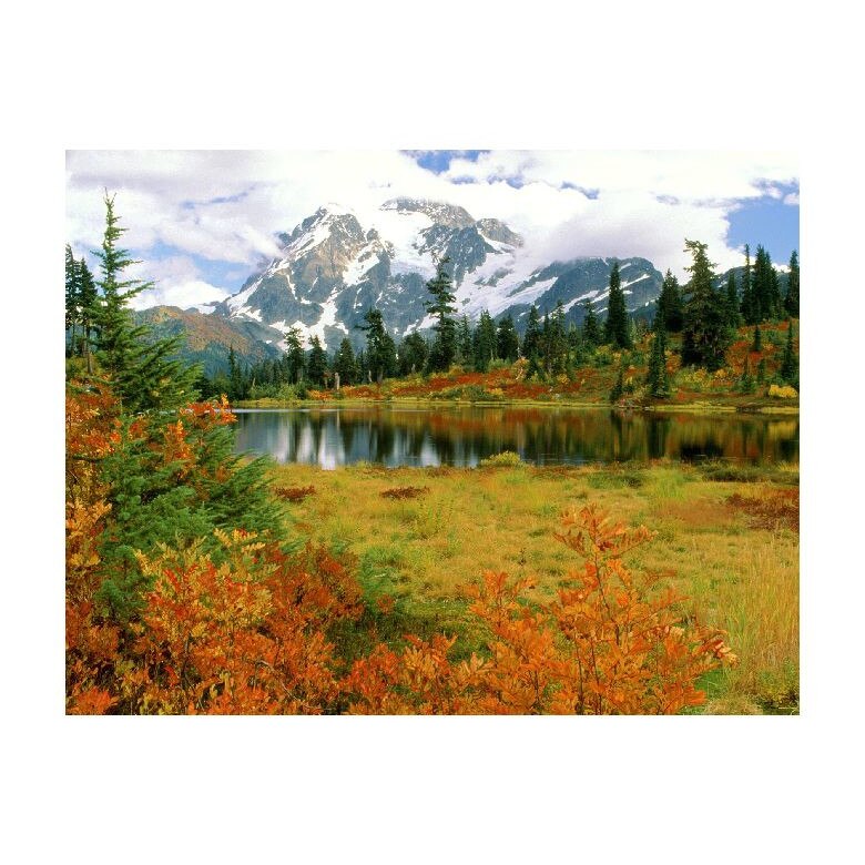 Tablou Canvas Natura, Dimensiunea 100x70 nat1292