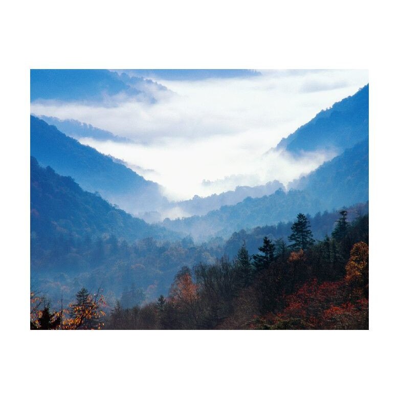 Tablou Canvas Natura, Dimensiunea 100x70 nat1322
