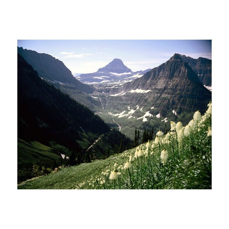 Tablou Canvas Natura, Dimensiunea 100x70 nat1286