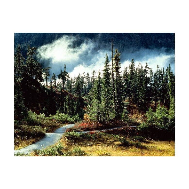 Tablou Canvas Natura, Dimensiunea 100x70 nat1318