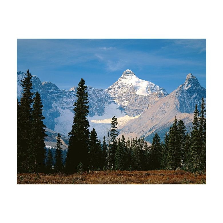 Tablou Canvas Natura, Dimensiunea 100x70 nat1263