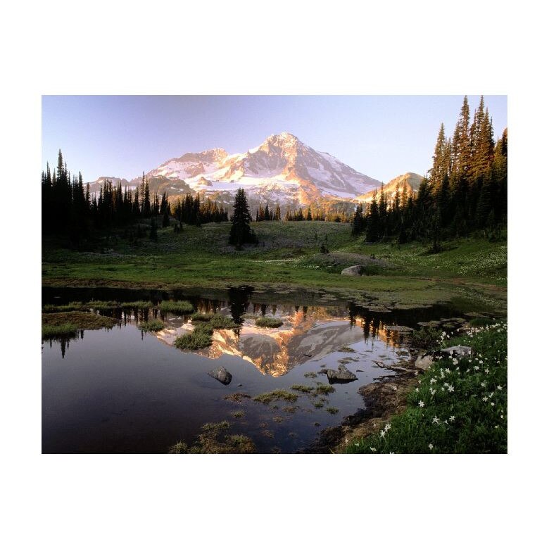 Tablou Canvas Natura, Dimensiunea 100x70 nat1282