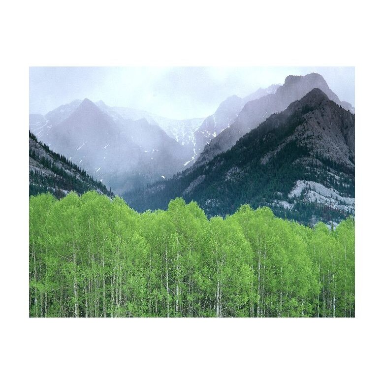 Tablou Canvas Natura, Dimensiunea 100x70 nat1298