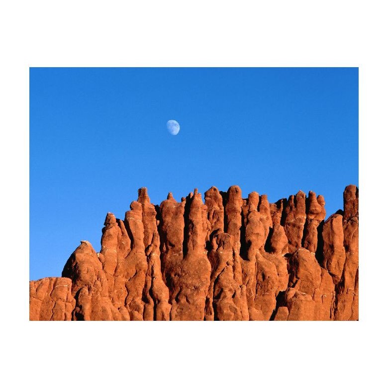 Tablou Canvas Natura, Dimensiunea 100x70 nat1240