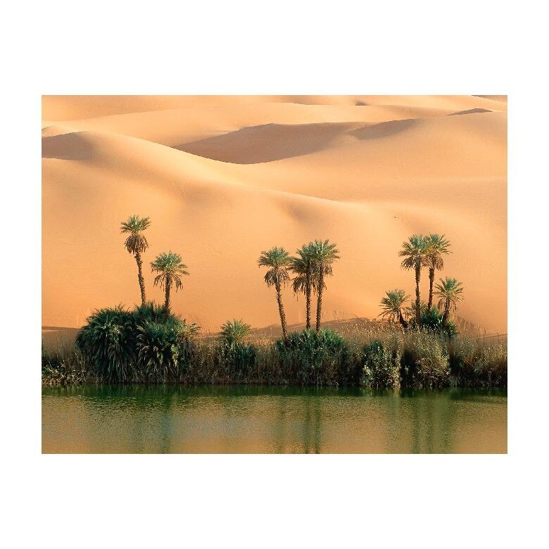 Tablou Canvas Natura, Dimensiunea 100x70 nat1349