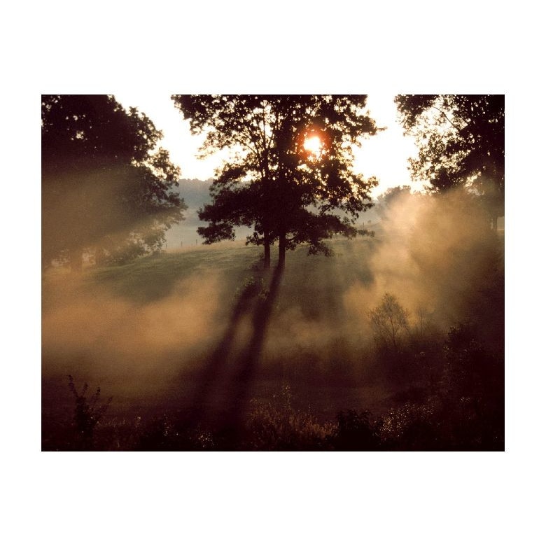 Tablou Canvas Natura, Dimensiunea 100x70 nat1257