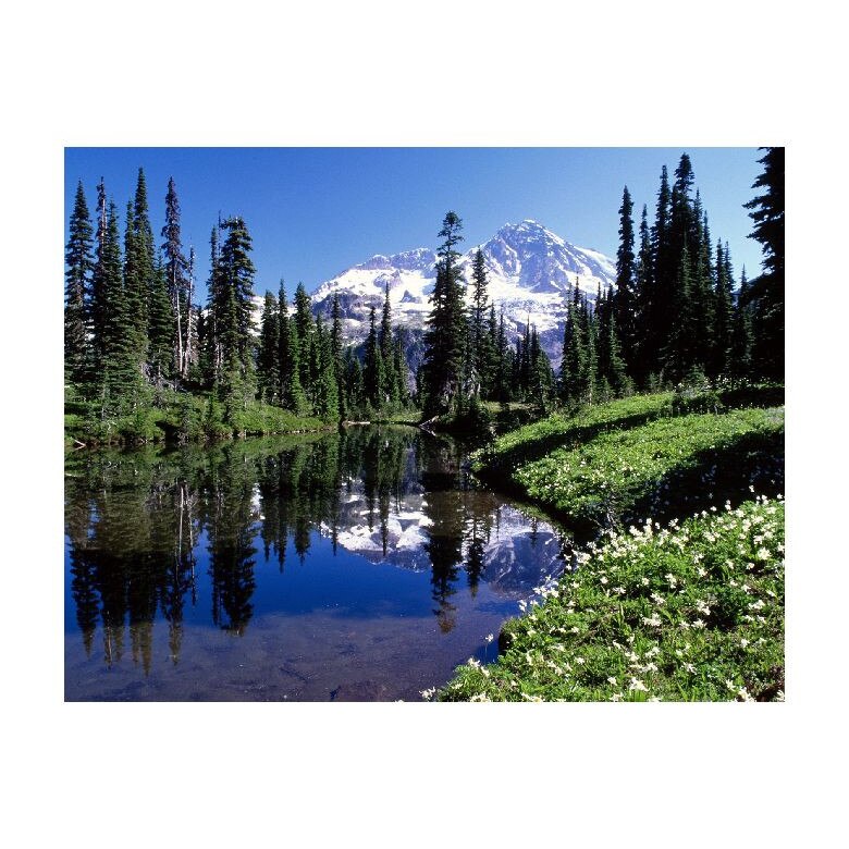 Tablou Canvas Natura, Dimensiunea 100x70 nat1214