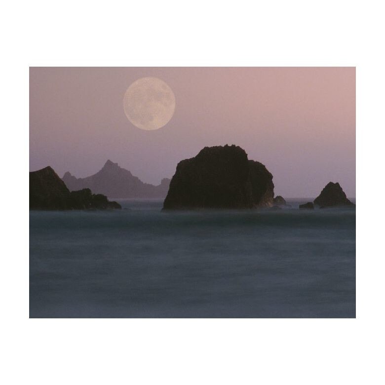 Tablou Canvas Natura, Dimensiunea 100x70 nat1246