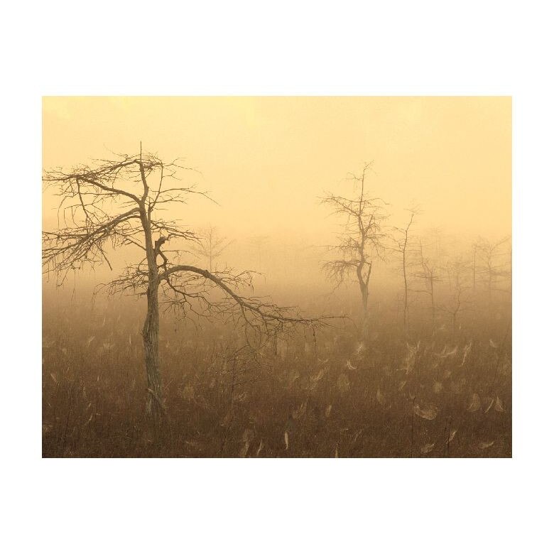 Tablou Canvas Natura, Dimensiunea 100x70 nat1250