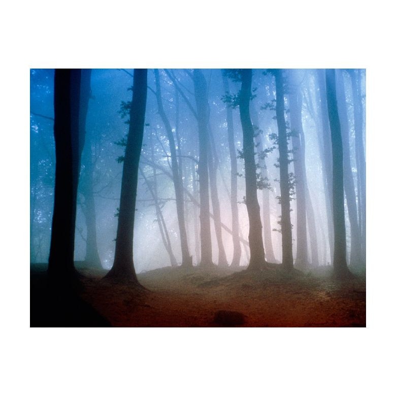 Tablou Canvas Natura, Dimensiunea 100x70 nat1254