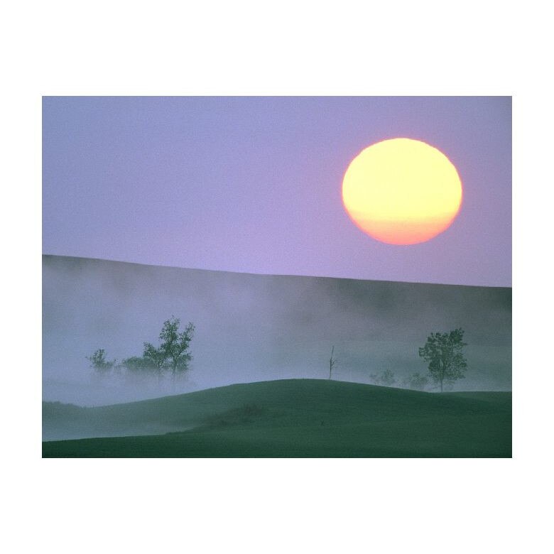 Tablou Canvas Natura, Dimensiunea 100x70 nat1223