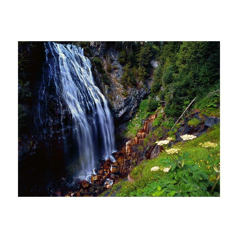 Tablou Canvas Natura, Dimensiunea 100x70 nat1309