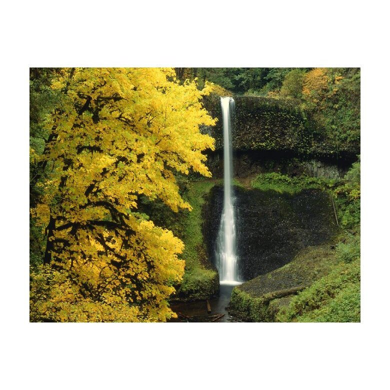 Tablou Canvas Natura, Dimensiunea 100x70 nat1210