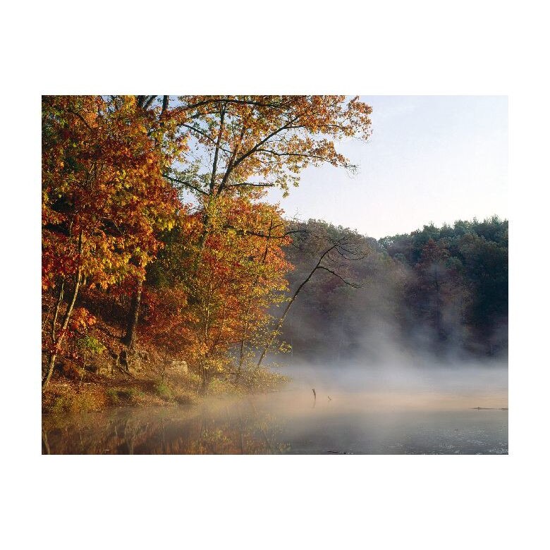 Tablou Canvas Natura, Dimensiunea 100x70 nat1217