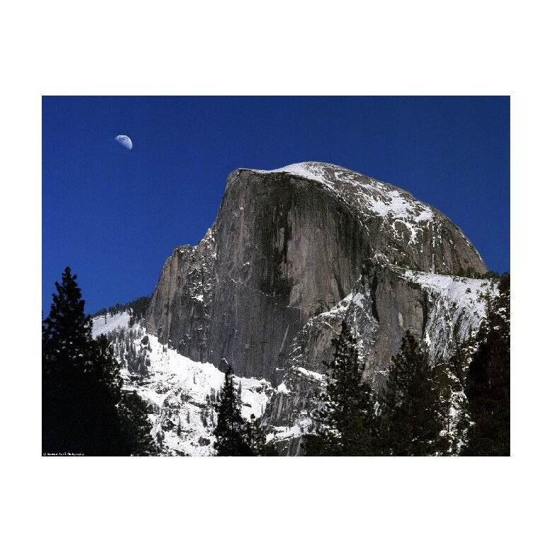 Tablou Canvas Natura, Dimensiunea 100x70 nat1237