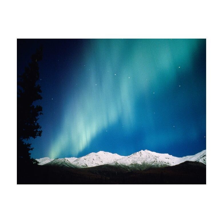 Tablou Canvas Natura, Dimensiunea 100x70 nat1328