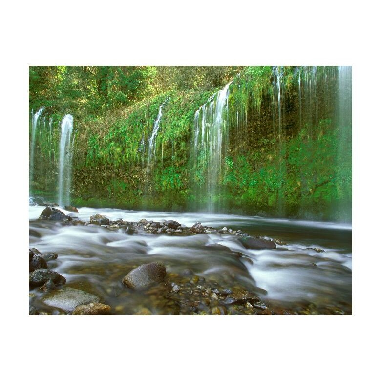 Tablou Canvas Natura, Dimensiunea 100x70 nat1259