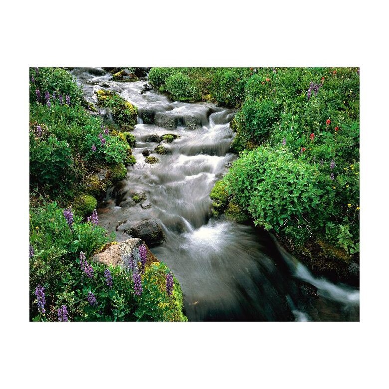 Tablou Canvas Natura, Dimensiunea 100x70 nat1261