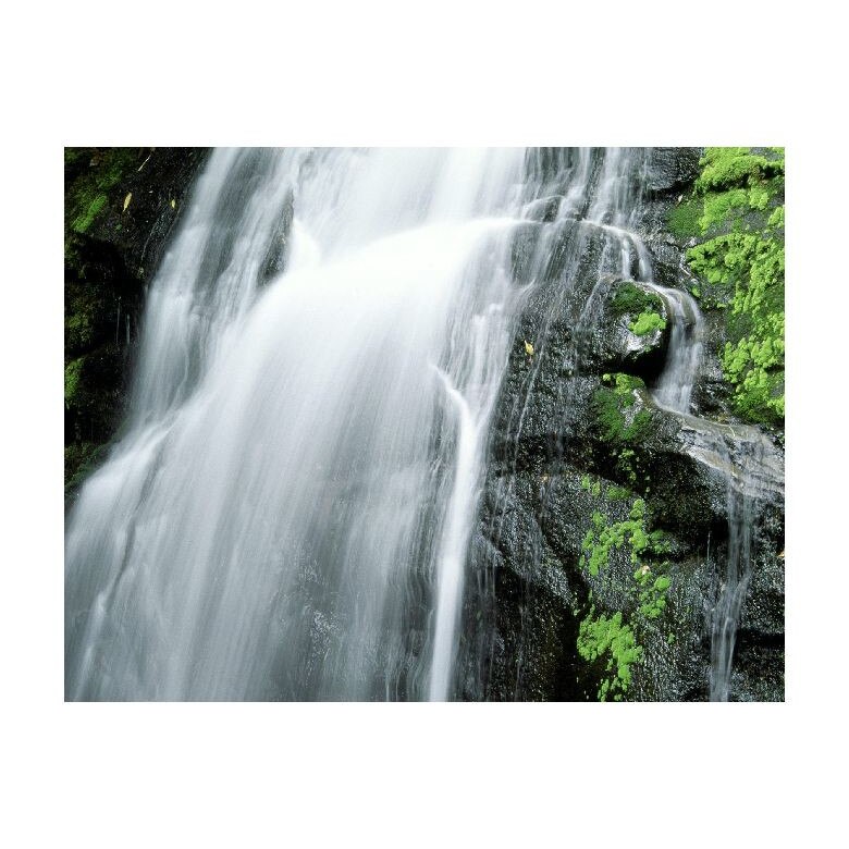 Tablou Canvas Natura, Dimensiunea 100x70 nat1204