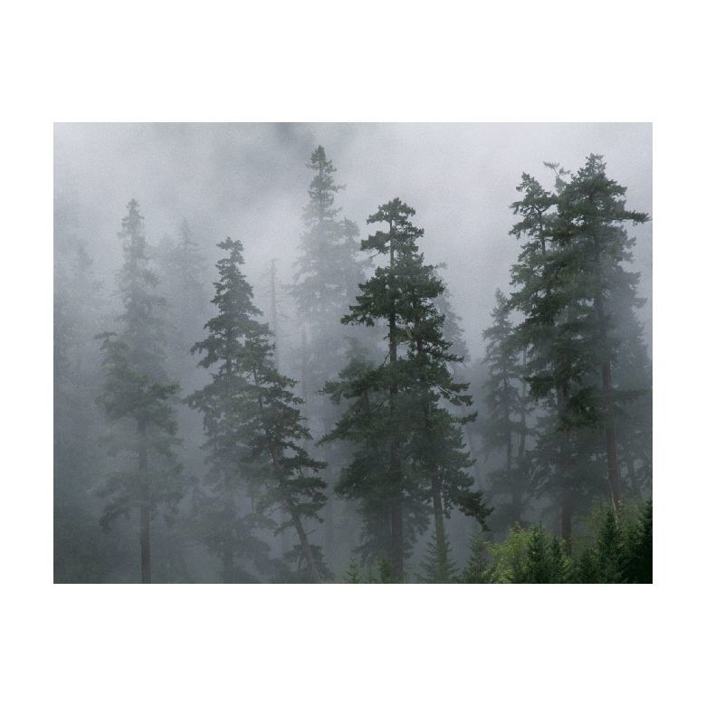 Tablou Canvas Natura, Dimensiunea 100x70 nat1218