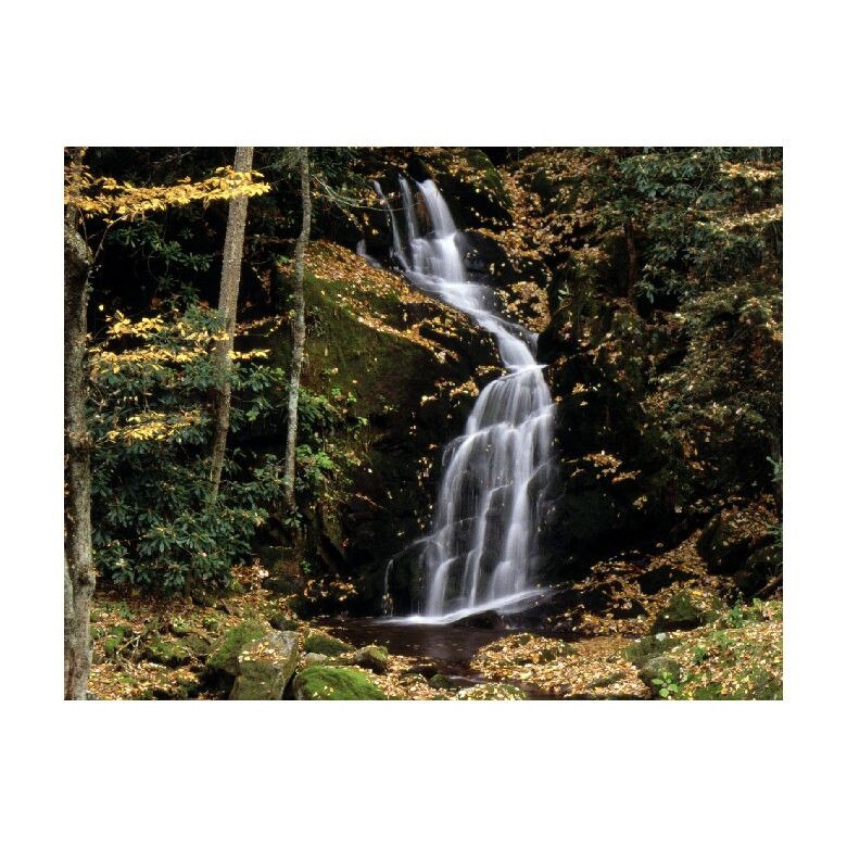 Tablou Canvas Natura, Dimensiunea 100x70 nat1302